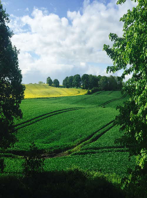 agriculture-clouds-countryside-58061