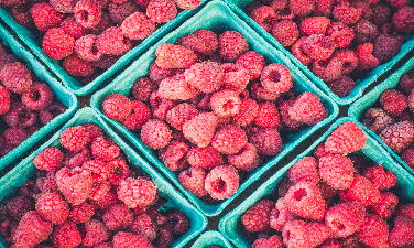 berry-bucket-close-up-396143